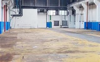 hale in parcul Roman sau tractorul - Poză 3