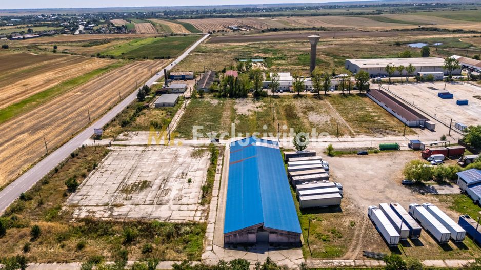 Teren industrial 16.000 mp lângă Autostrada A1 – Căteasca - Poză 5