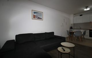 Zona Lipovei, 2 camere, Pet-friendly - Poză 8