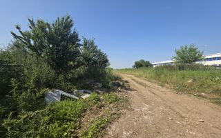 Teren pentru Dezvoltare Logistică – 18.000 mp | Tunari - Comopolis - Poză 6