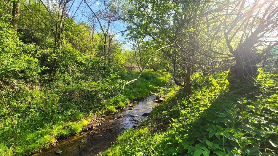CASĂ NOUĂ ÎN STOLNA, LA 20 KM DE CLUJ-NAPOCA | 160 MP UTILI | 1.513 MP TEREN - Poză 11