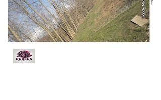 Oportunitate rară! 1 ha pădure Corcova – teren cu potențial real - Poză 3