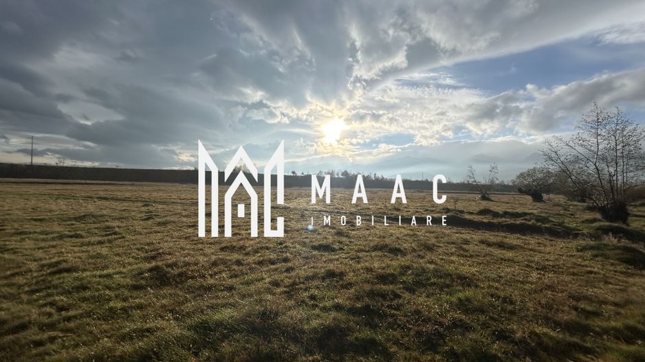 Teren cu potențial turistic I Cârțișoara I 3000 MP - Poză 2