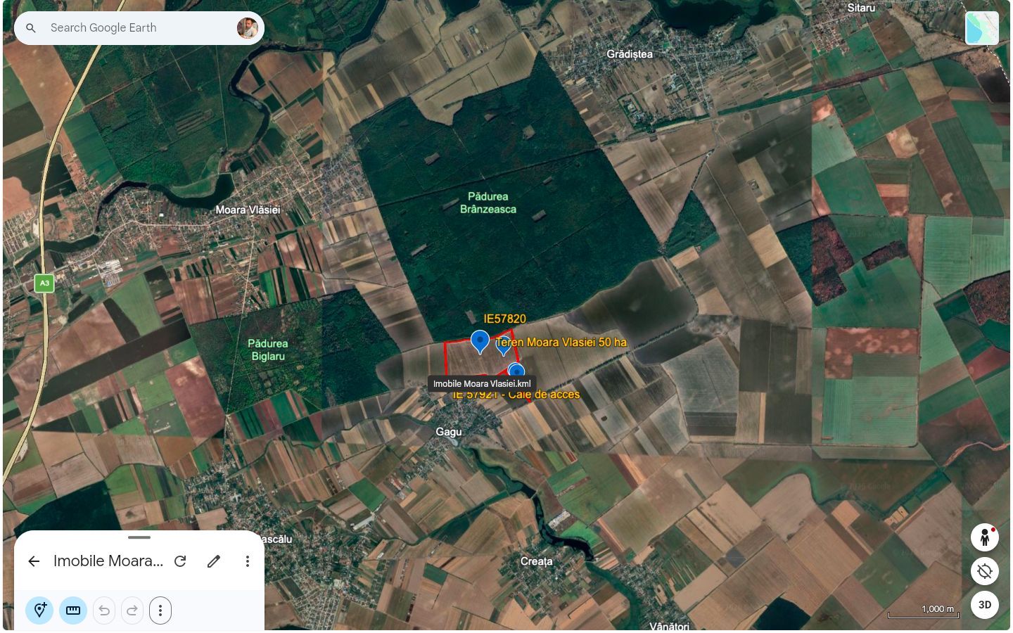Teren intravilan 50,5 ha – Moara Vlăsiei - Poză 7