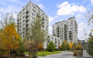 2 Camere Mobilat Utilat | Aviatiei Park | Aviatiei Herastrau - Poză 21