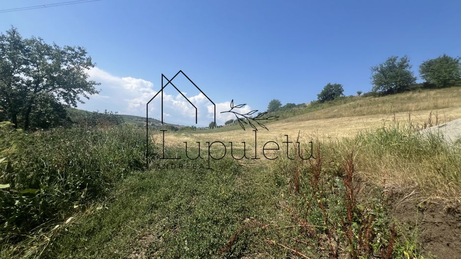 Teren Intravilan |5.000 MPU | Șura-Mare | - Poză 7