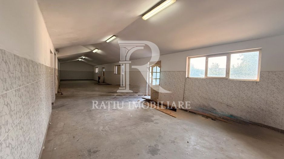 Casă cu Hală Industrială | Teren 3.200 mp | Ineu | Bihor - Poză 25