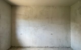 Casă 4 camere | 100 mp utili | teren 5 ari | Petin, Satu Mare - Poză 10