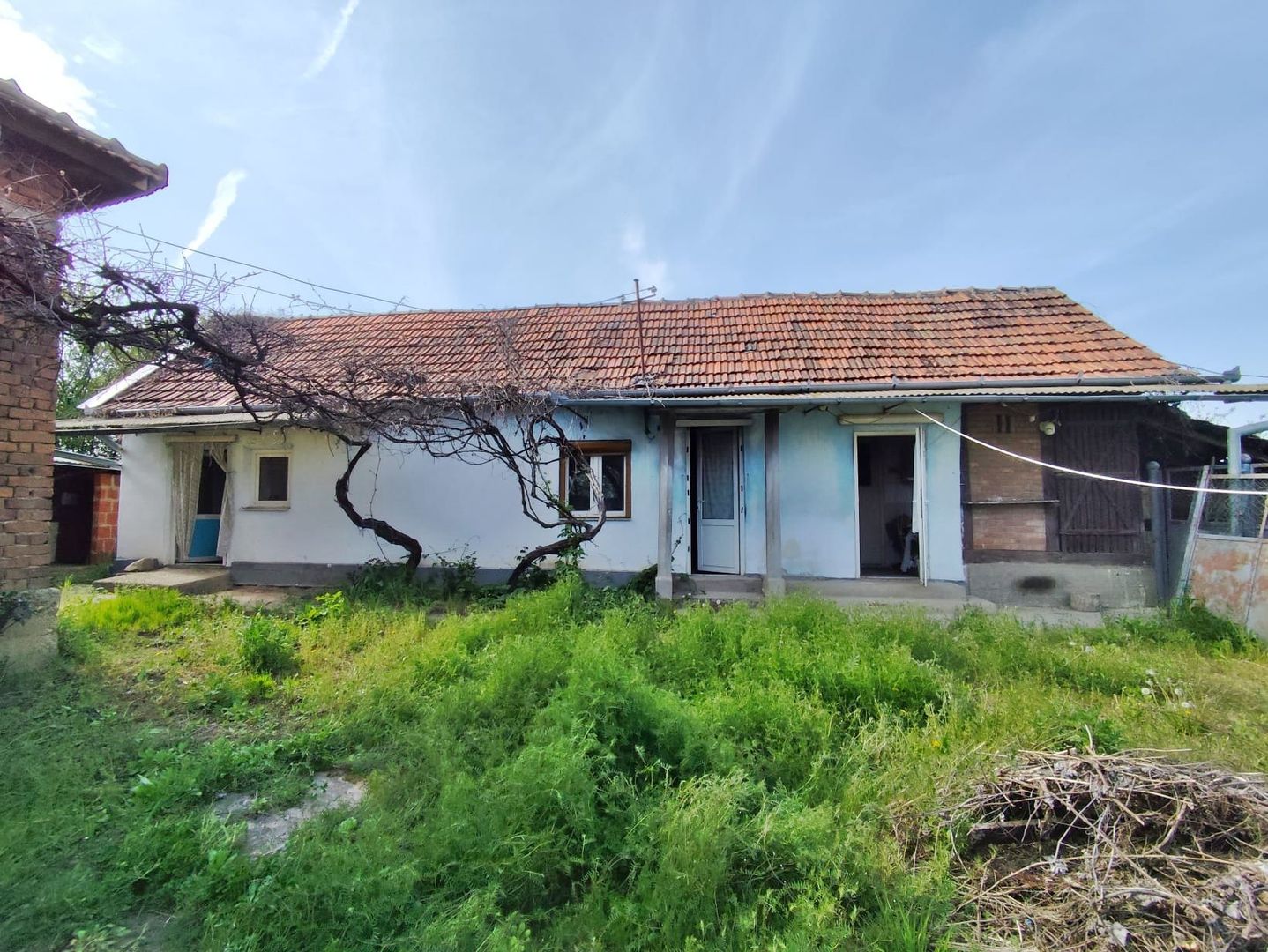 Casa la tara, gaz, acces auto, teren 4122 mp – Petid, Bihor – VANZARE - Poză 12