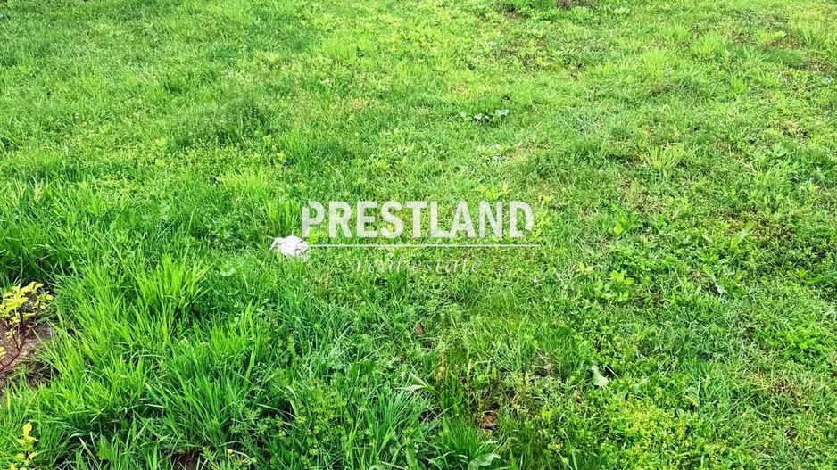 Teren constructie casă de vacantă !! - Poză 3