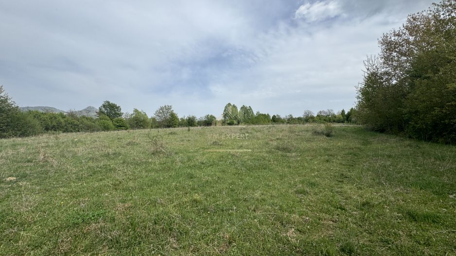 TEREN INTRAVILAN, 7472 MP, VALEA MARE PRAVAT, ARGES - Poză 11