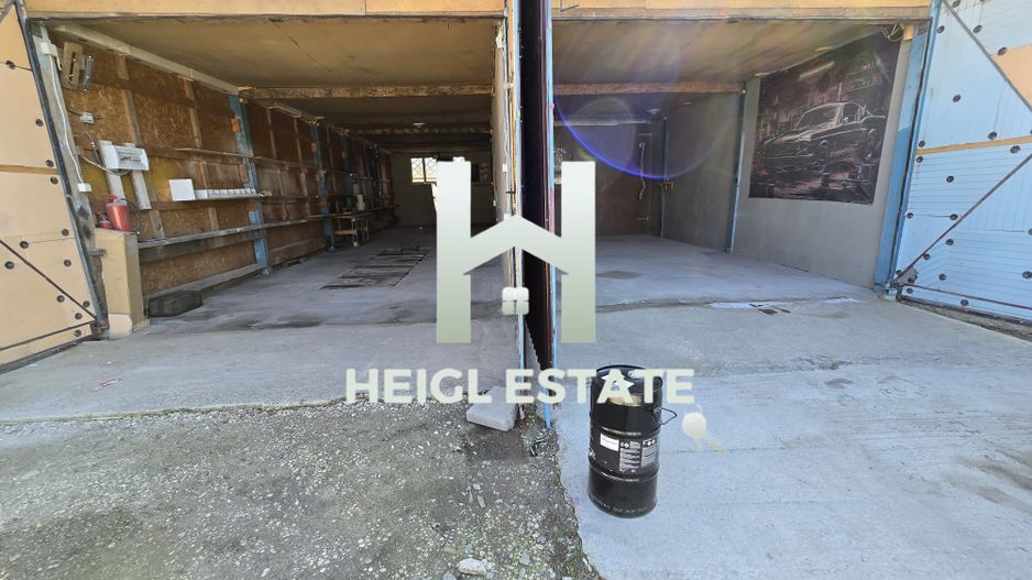 Spatiu Hala Fraidorf pretabil depozitare,vopsitorie, colantari,service - Poză 8