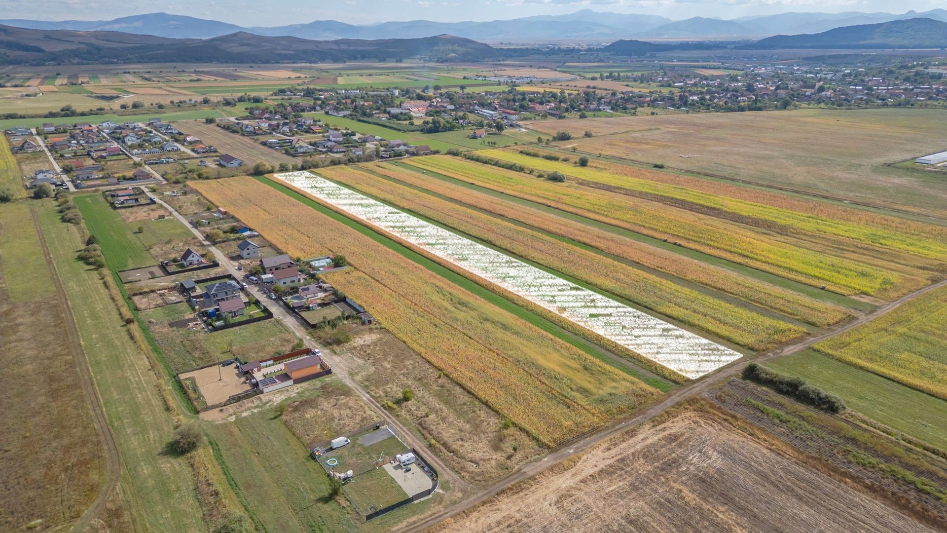 Teren Intravilan Bod | 15.000 mp | Zona Uranus - Constelației - Poză 1