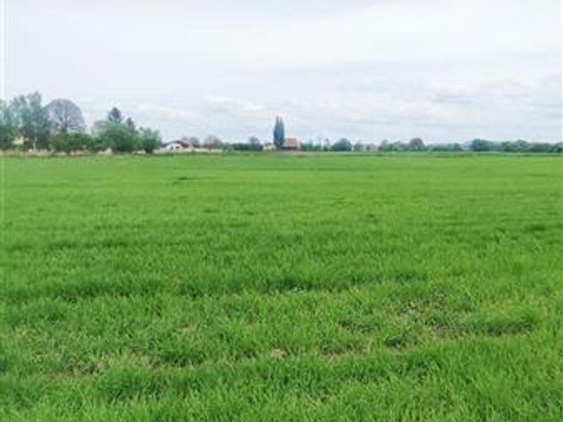 teren intravilan Stupini-Albinelor - Poză 4