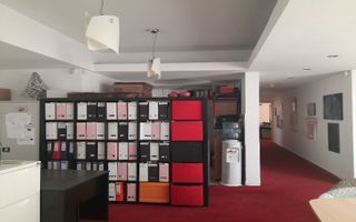 VANZARE VILA S+P+4E | ZONA AVIATORILOR | OPORTUNITATE - Poză 6