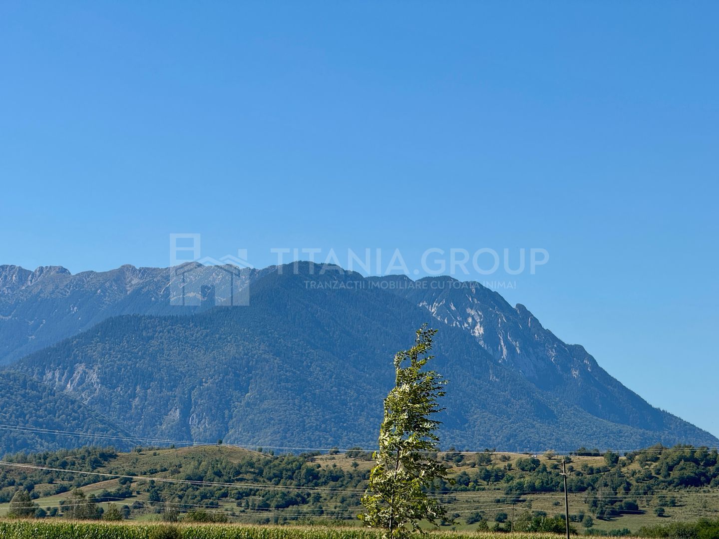 Teren intravilan parcelabil, priveliște spre munți, Sohodol, Bran - Poză 23