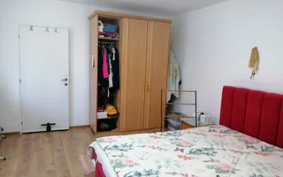 Casa individuala | Teren 868 MP | 2 bai | Pivnita | Arpasu - Poză 18