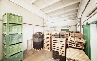 Hala industriala de vanzare Arad – 589 mp - Poză 4