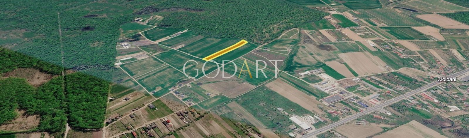 Teren 10.000 mp în Ciolpani | Deschidere la șosea | Pădurea Snagov - Poză 3