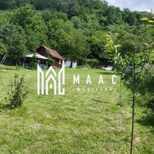 Teren 1040 mp +cabana | Goranu | - Poză 3