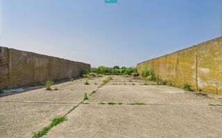 Complex industrial cu hale și teren  în Orțișoara - Poză 29