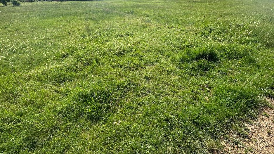 Teren 1239 mp front 29 in Aradul nou - Poză 11