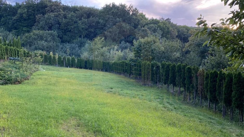 Vanzare teren 3000 mp, cabana, zona D D Rosca, Faget - Poză 3