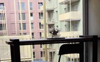 Se oferă spre închiriere un apartament tip studio open space Jiului - Poză 2