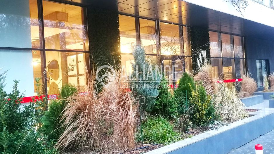 Spatiu comercial de inchiriat- (cod10)- EUROMATERNA - Poză 1