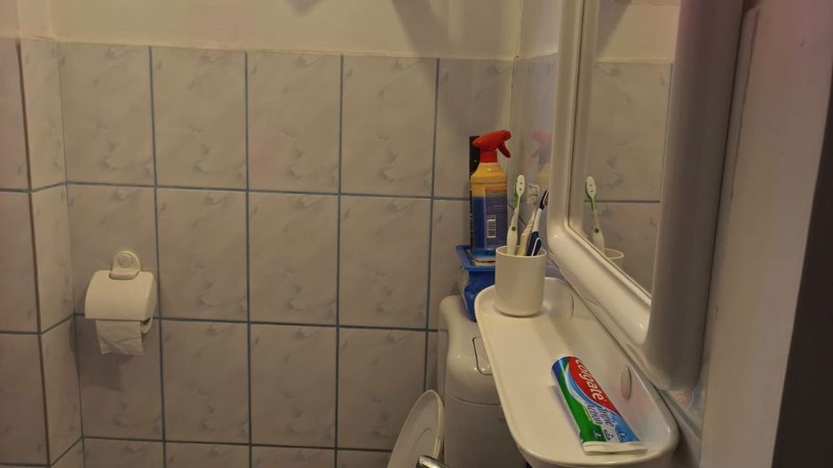 Casǎ P cu 910 mp Teren – Gheorghe Doja - Poză 16