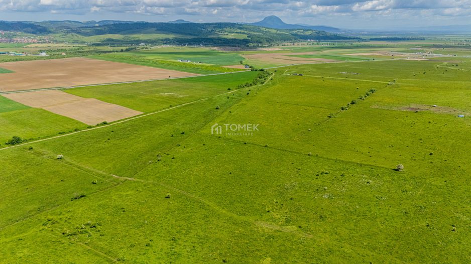 Teren de investiție în zona Tohanul Nou - Bran  5.800 mp - Poză 14