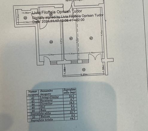 Grand Park Pipera, Erou Iancu Nicoale - Poză 10