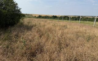 Teren intravilan Miersig, vedere la lac. 12,5 E/mp neg. Comision 0 - Poză 8