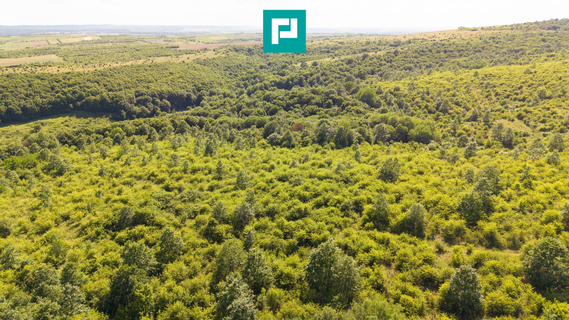 TEREN AGRICOL EXTRAVILAN  22.900 MP LIPOVA - Poză 14