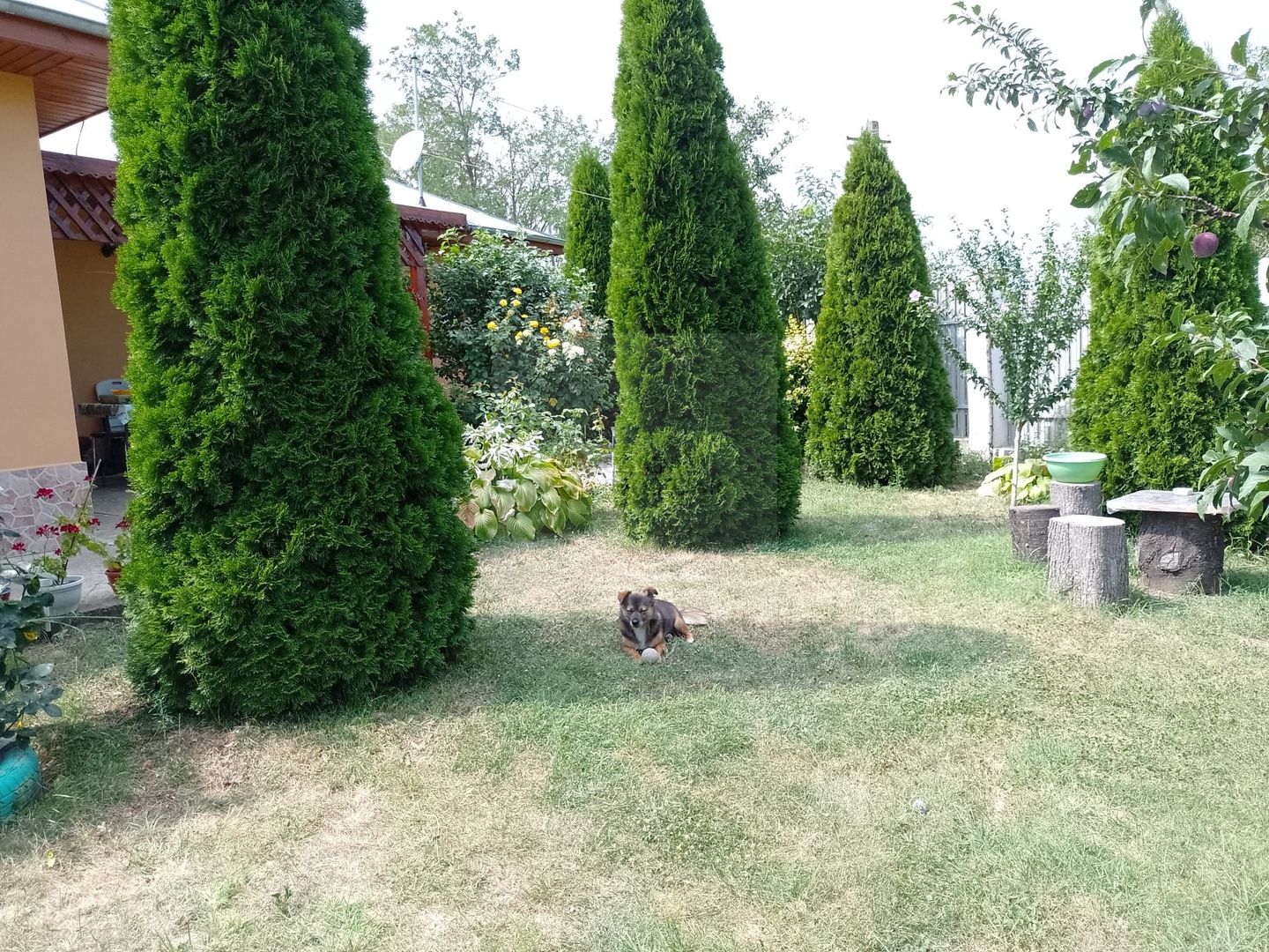 Casă de vacanță modernă cu teren generos –15min de Tecuci - Poză 24