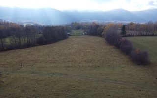 Teren Zarnesti | Tohanita | Intravilan | PUZ aprobat | Fara Utilitati | 9.053mp - Poză 11