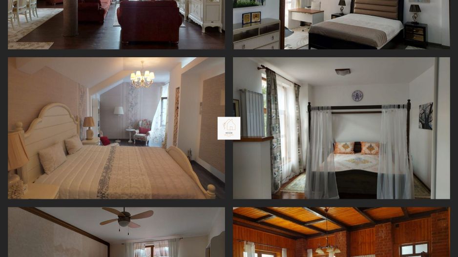 Vila Horezu Romanii de Jos - Poză 4