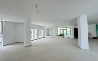 Spatiu comercial de inchiriat Micalaca, Vad Intens disponibil 03.2025 - Poză 2