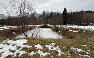 Teren extravilan | Horodnic De Sus | 3600MP - Poză 8