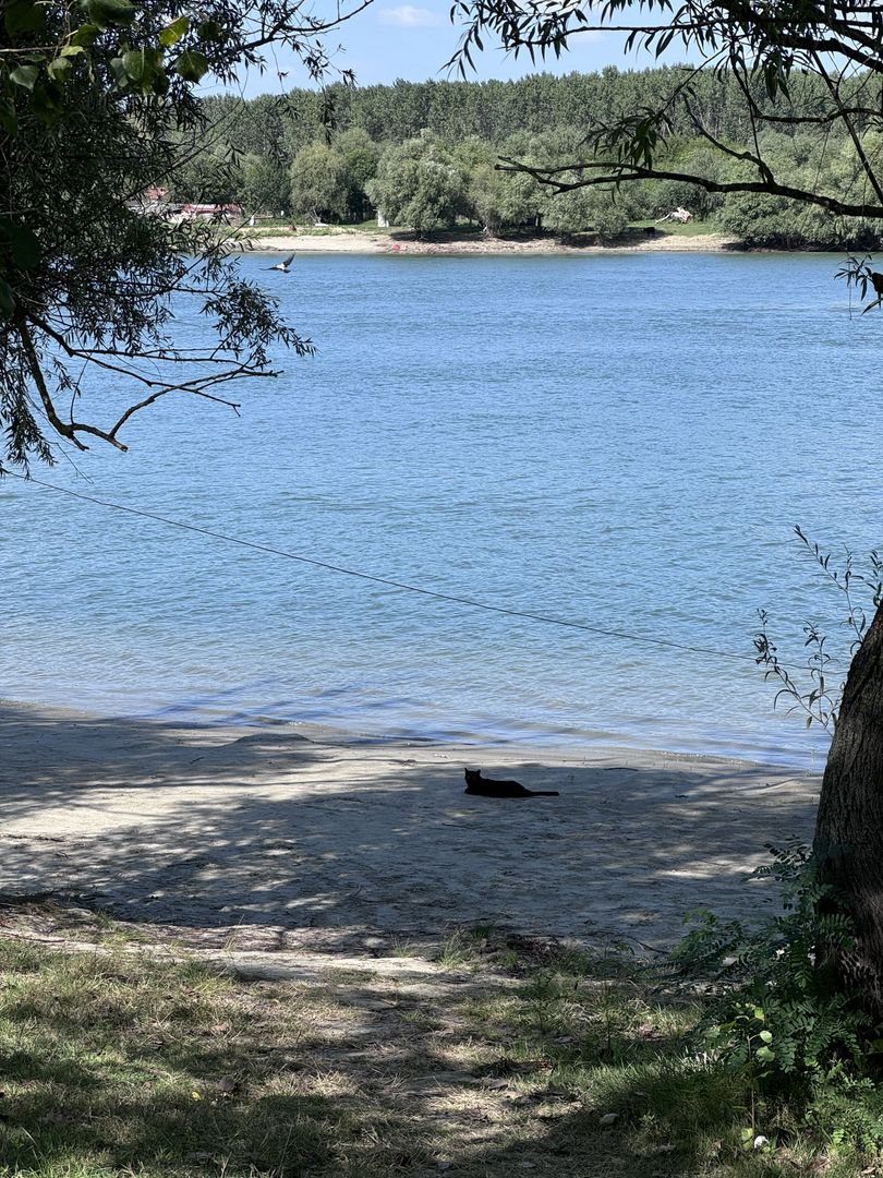 Hotel 25 camere 100 m deschidere DELTA DUNARII teren 12000 mp acces auto - Poză 32