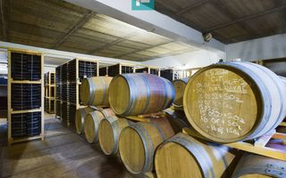 Pivnițele Birăuaș D.O.C Miniș - RATE FĂRĂ DOBÂNDĂ - Schiță 3