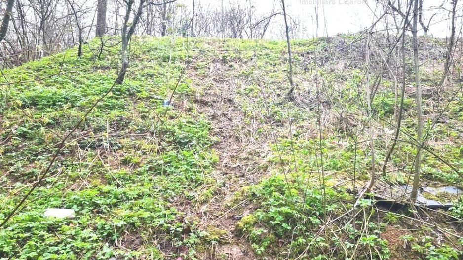 Teren intravilan1291 mp Schei Str Nisipului iesire la Drumul Poienii - Poză 3