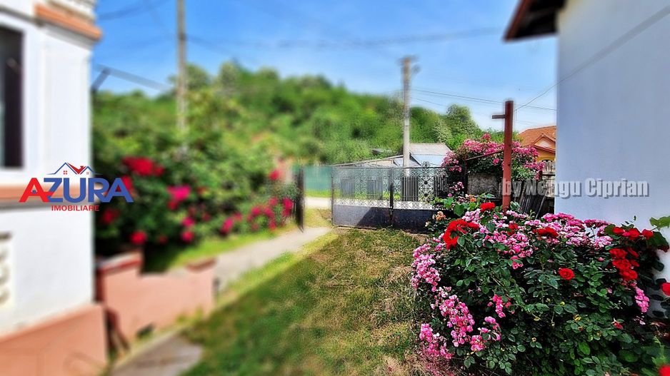 AZURA Imobiliare - Casa Merisani zona Primarie, Panouri fotovoltaice - Poză 21