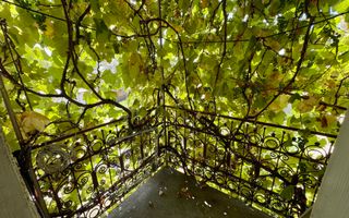 Casa individuala in Com. Capusu Mare/Sat Dumbrava. - Poză 26