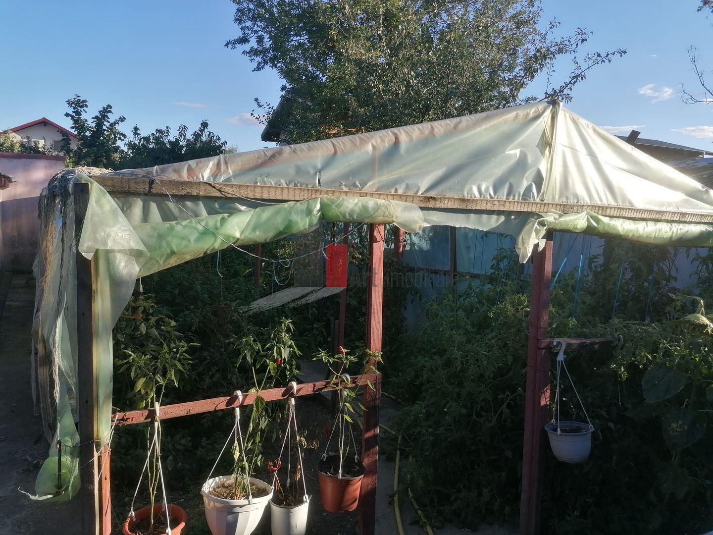 Dascalu-lfov-Vila D+P+M-5 camere-Locatie Deosebita - comision 0 - Poză 16