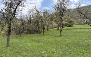 Teren de vânzare, 7750 mp I Orientare sudică I Caineni - Poză 7