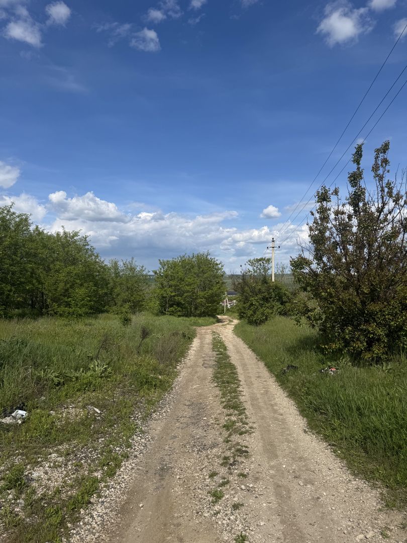 Teren intravilan Nimoreni, Ialoveni - Poză 2
