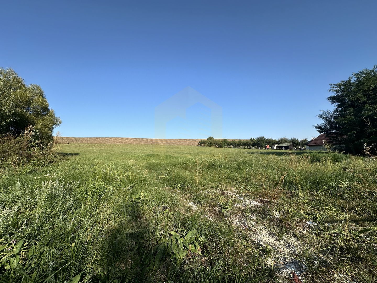Vanzare teren 2936 mp, zona strada Dealu Fanatelor - Poză 8