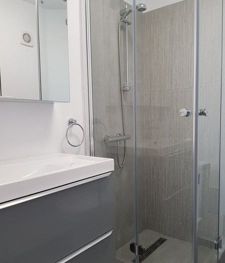 Închiriere 2 Camere Ultracentral, Vedere Dambovita, Renovat - Poză 9