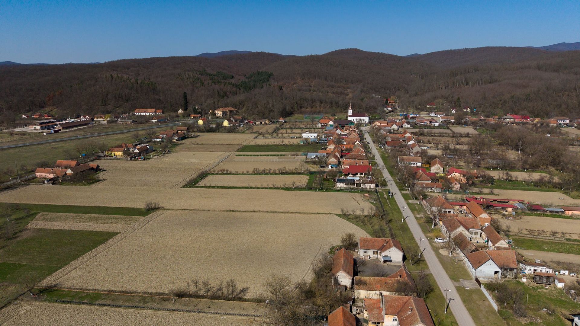 Loc de casă în Odvoș - Conop 3000mp - Poză 7